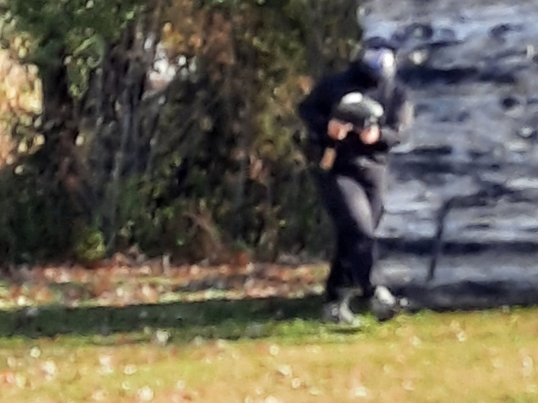 MARKED: Ultimate Family Adventure Park-Carleton Place必去景点