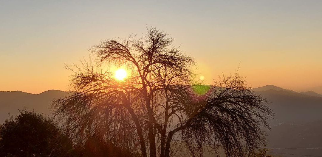 Shri Shail Inn Mukteshwar主图