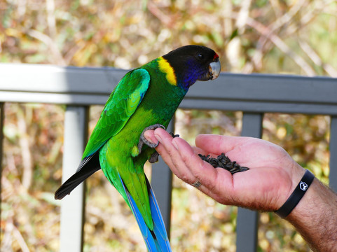 Rainbow Trail Chalets主图