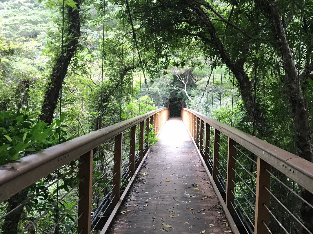 Hiji Waterfall景点图片