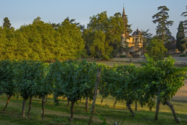 Chateau de Cassaigne景点图片