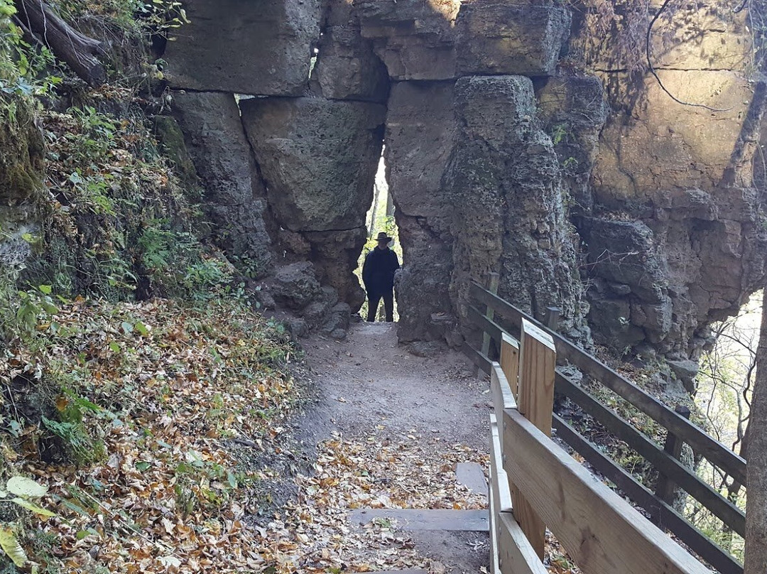 Microtel Inn & Suites by Wyndham Prairie du Chien主图