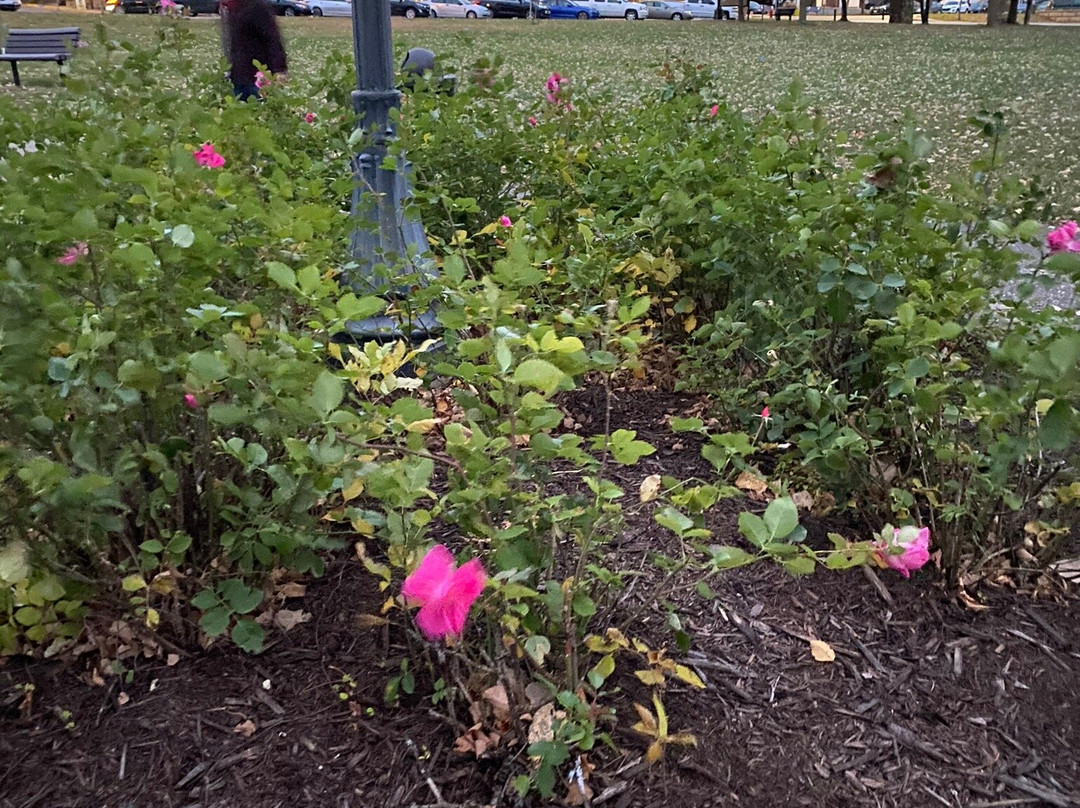 Lakefront Park-Hudson必去景点
