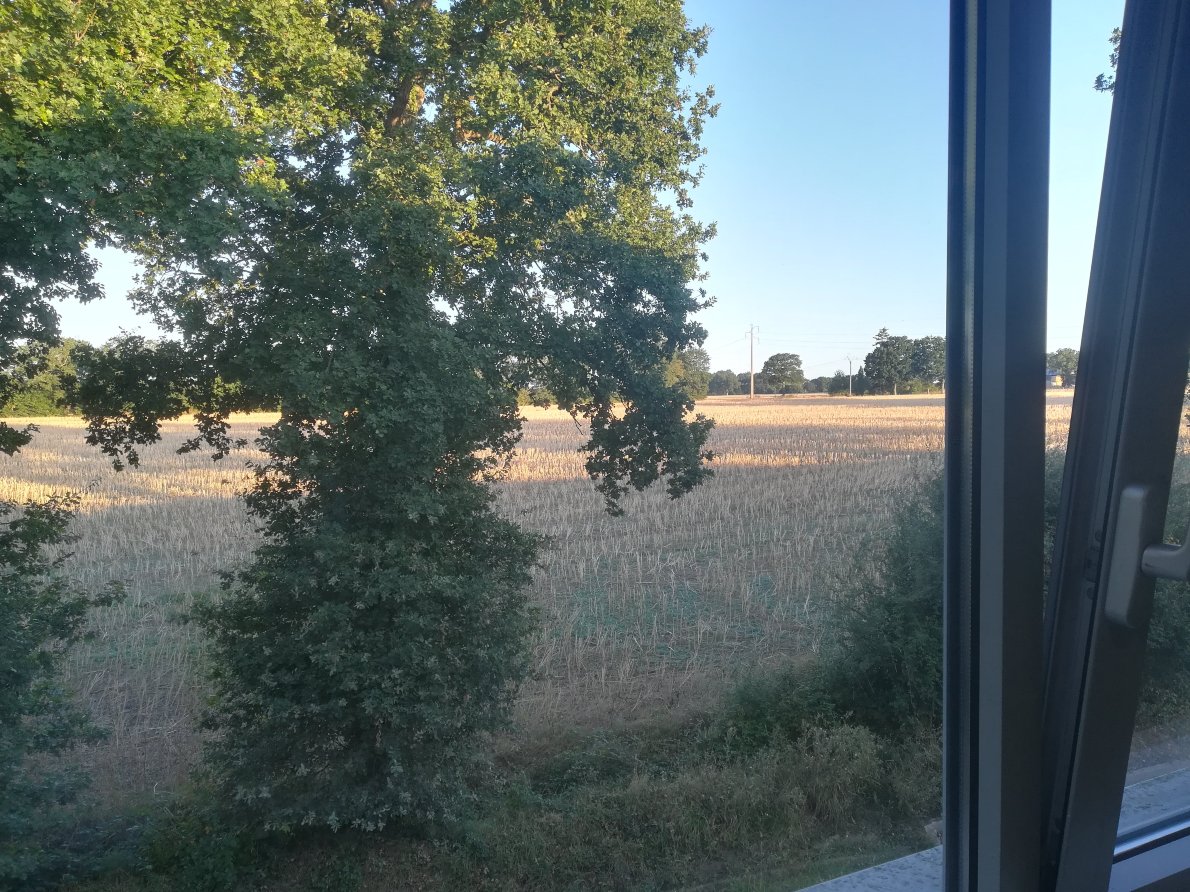 阿陶住宅酒店-酒店景观