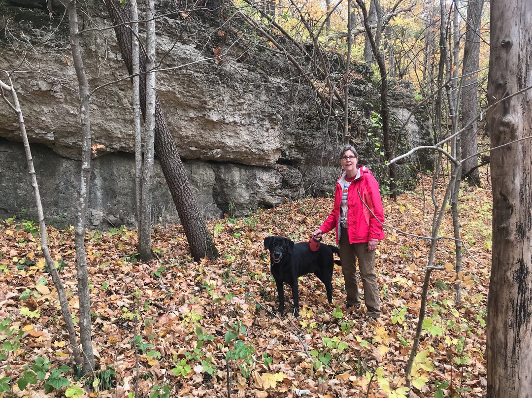 Backbone State Park-Dundee必去景点