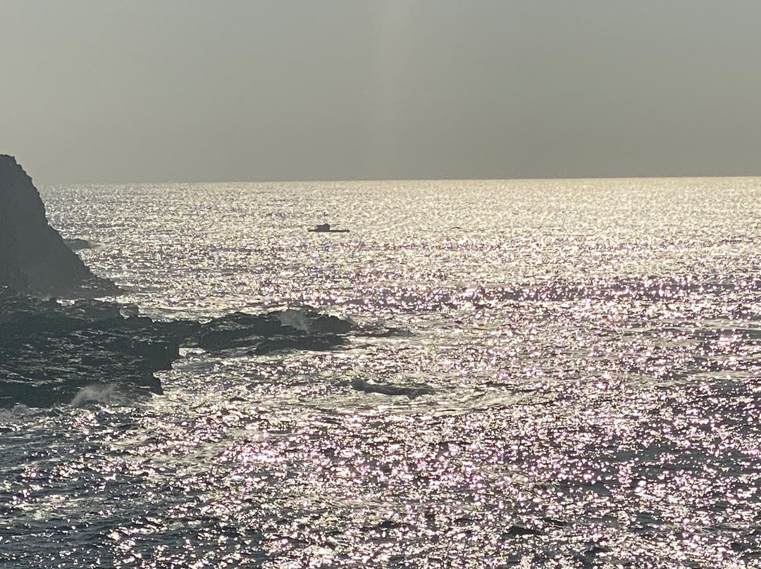 Kiama Coastal Walk景点图片