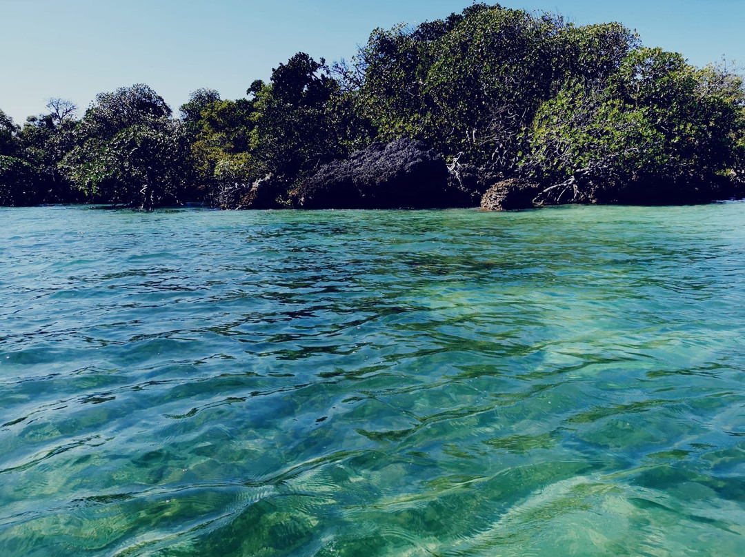 Zanzibar Kombo Tours and Safaris-桑给巴尔市必去景点