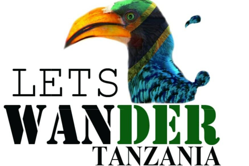 lets wander Tanzania-莫西必去景点