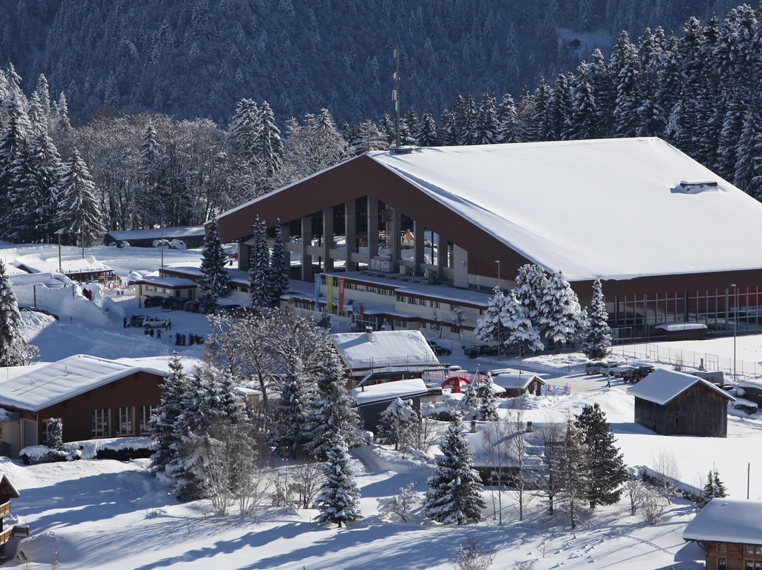 Patinoire De Leysin-莱森必去景点