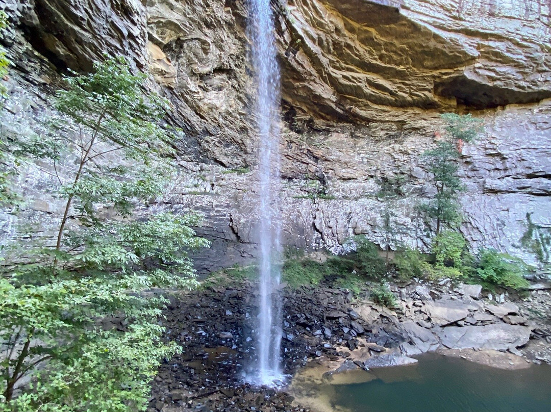 Ozone Falls State Natural Area-Crab Orchard必去景点