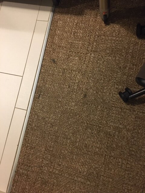 Home2 Suites by Hilton Gonzales主图