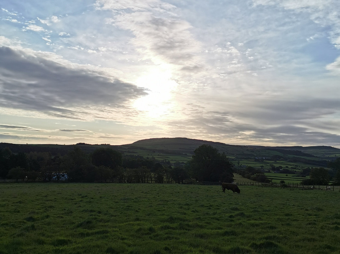 Pickersgill Manor Farm Bed and Breakfast主图