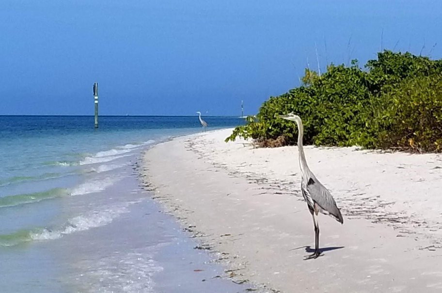 Island Kayak Tours, Llc-Tierra Verde必去景点