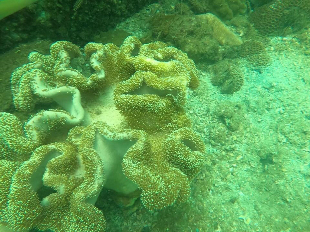 黑岛-芽庄必去景点