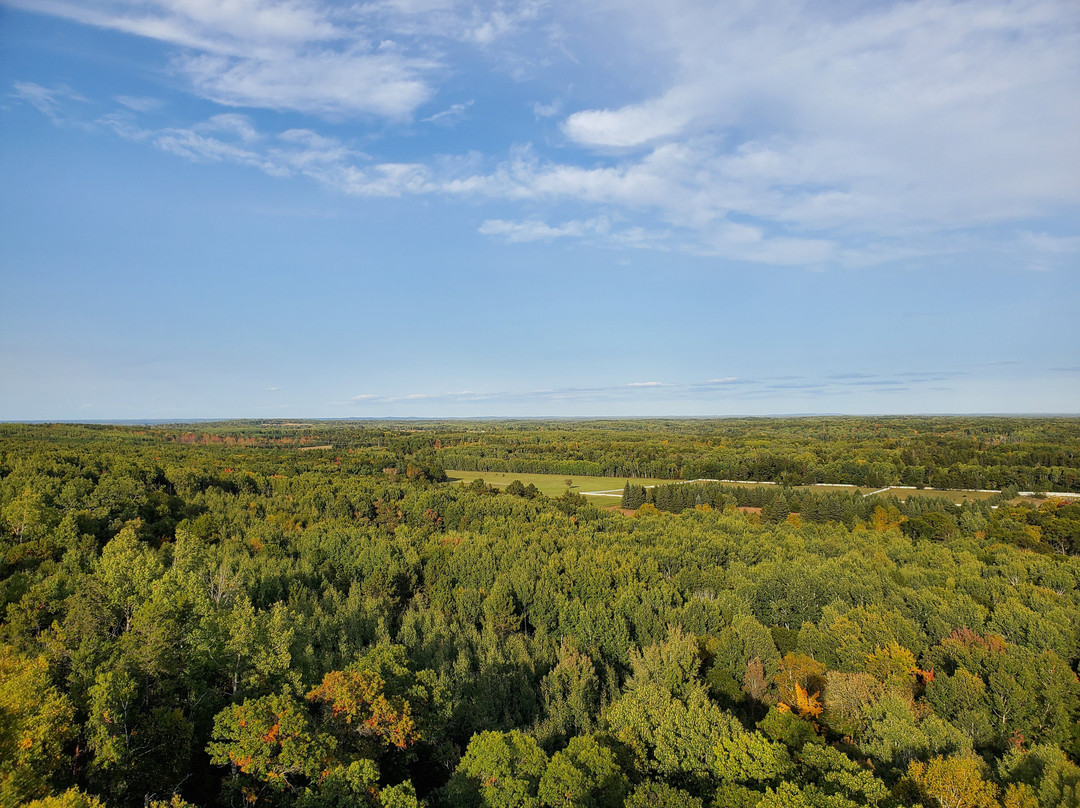 Paul M Thiede Fire Tower Park-Pequot Lakes必去景点