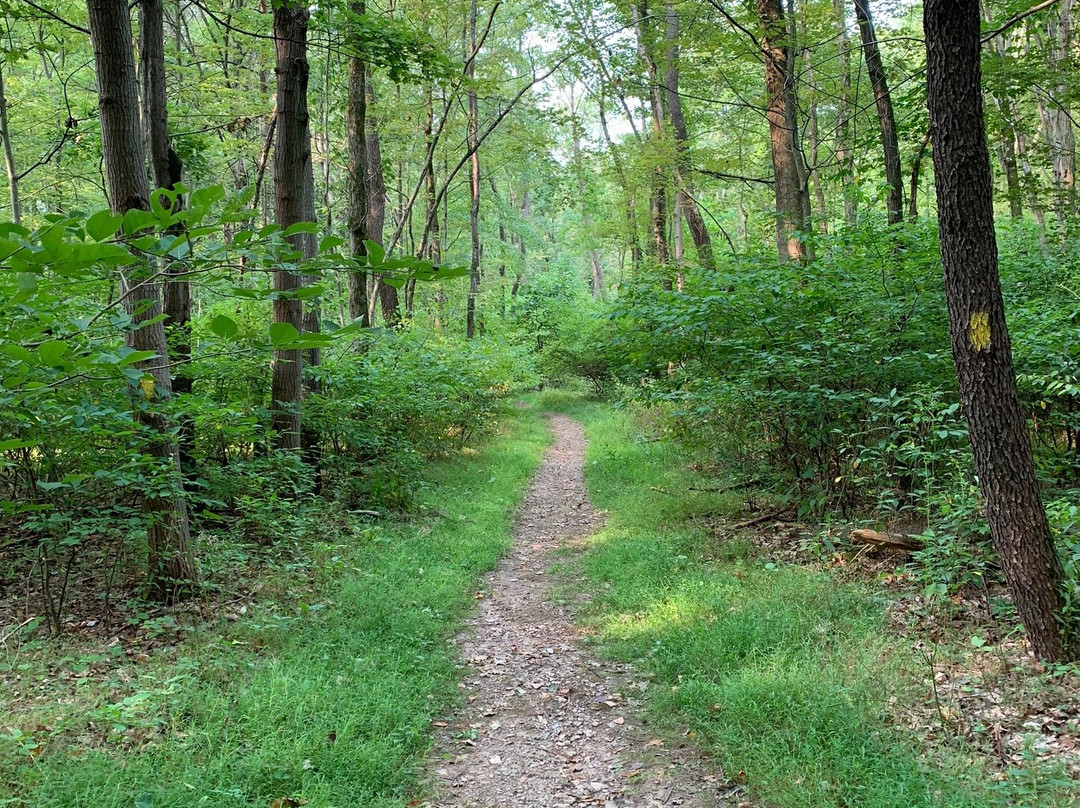 Shikellamy State Park景点图片