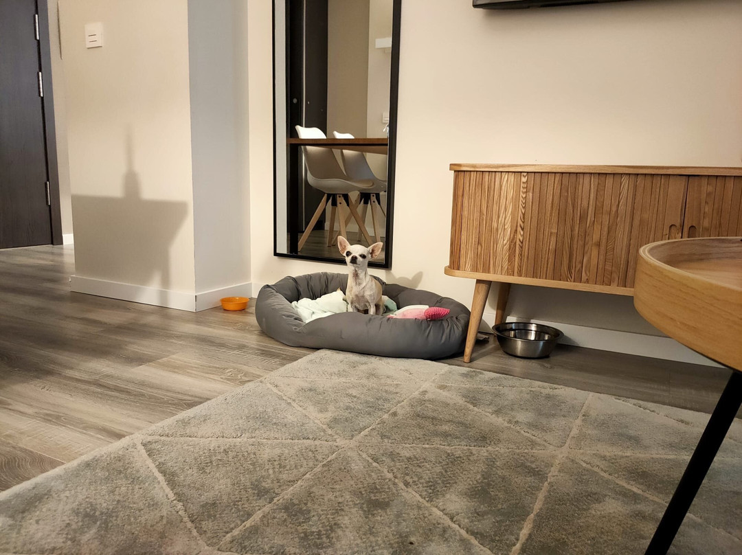 Bilbao City Center by abba Suites主图