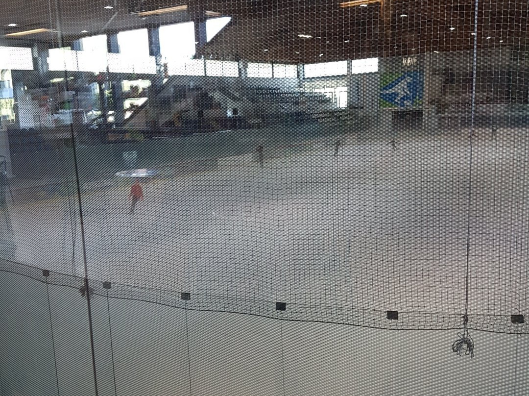 Ice Rink Pine景点图片