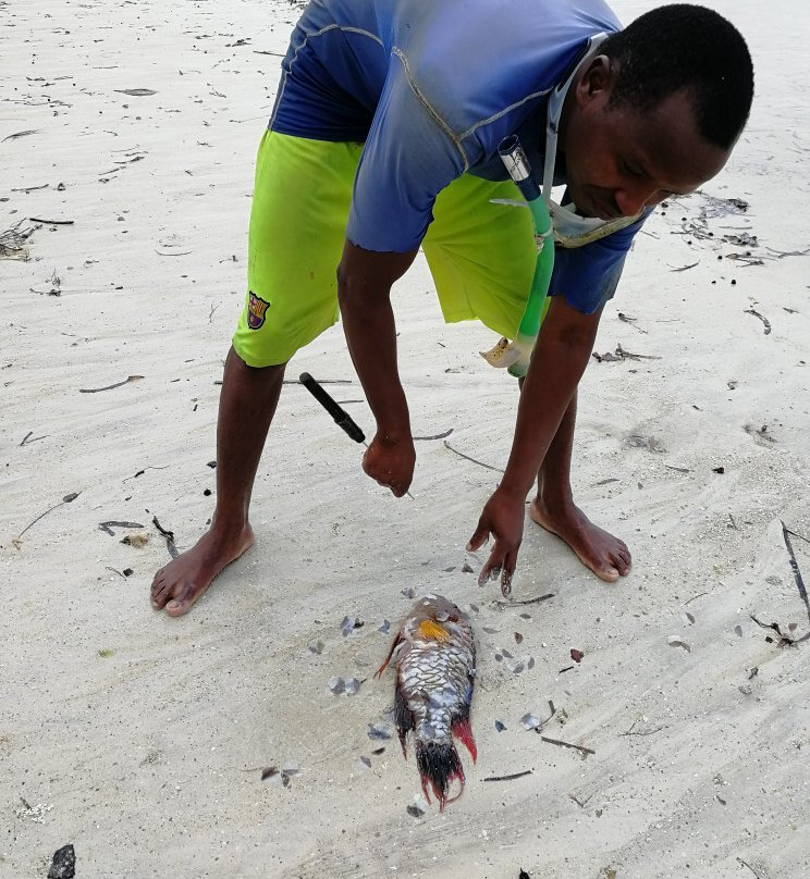 Vumawimbi Beach-奔巴岛必去景点