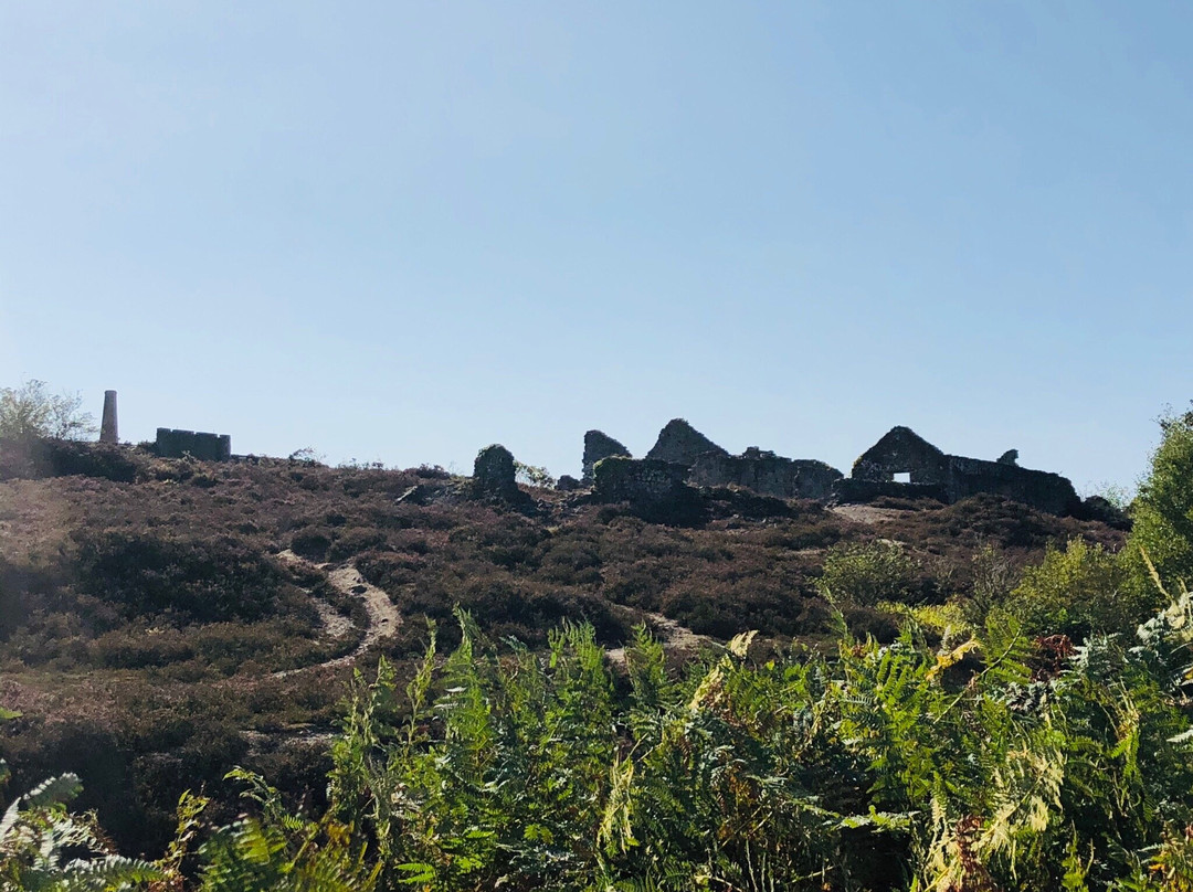 The Coast to Coast Trail-Portreath必去景点
