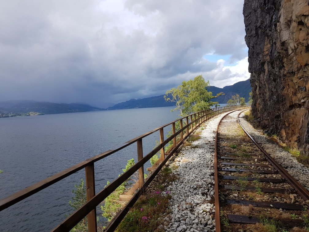 Dresinsykling på Flekkefjordsbanen Day Tours-弗莱克菲尤尔必去景点