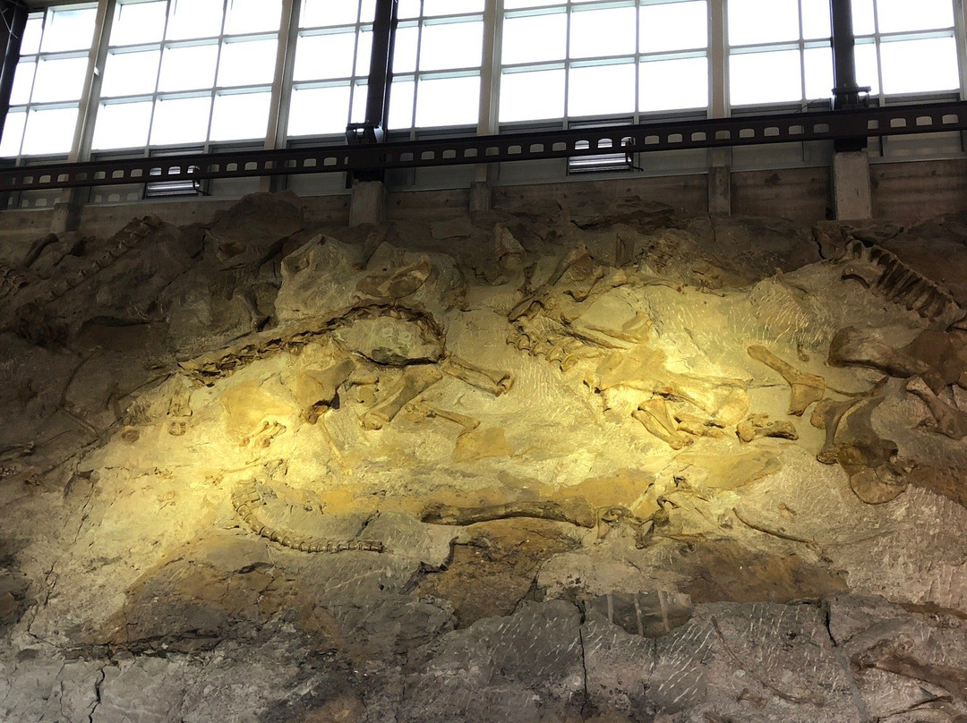 Dinosaur Quarry-Jensen必去景点