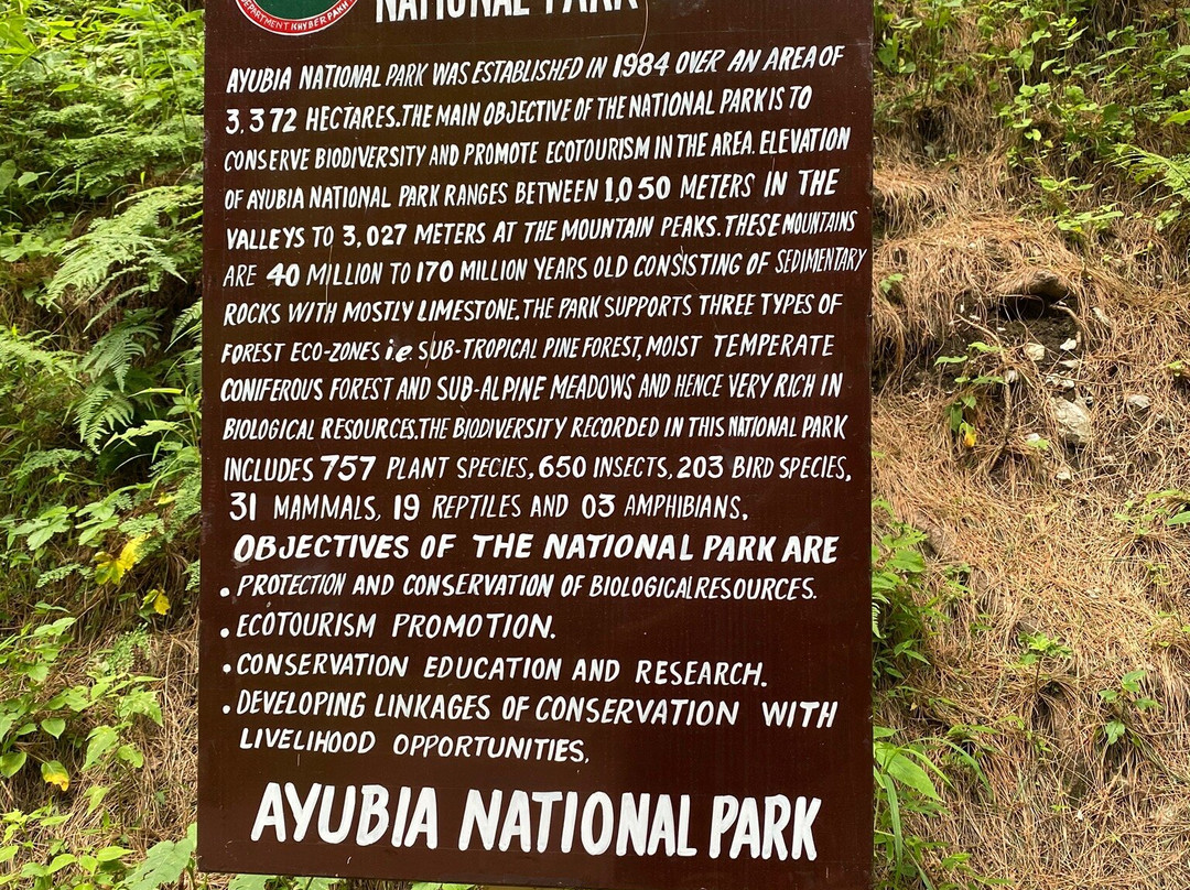 Dunga Gali Pipe Line Track-Nathia Gali必去景点