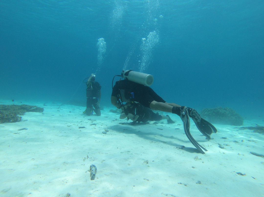 Rabdan Diving And Sea Tours-锡卜必去景点