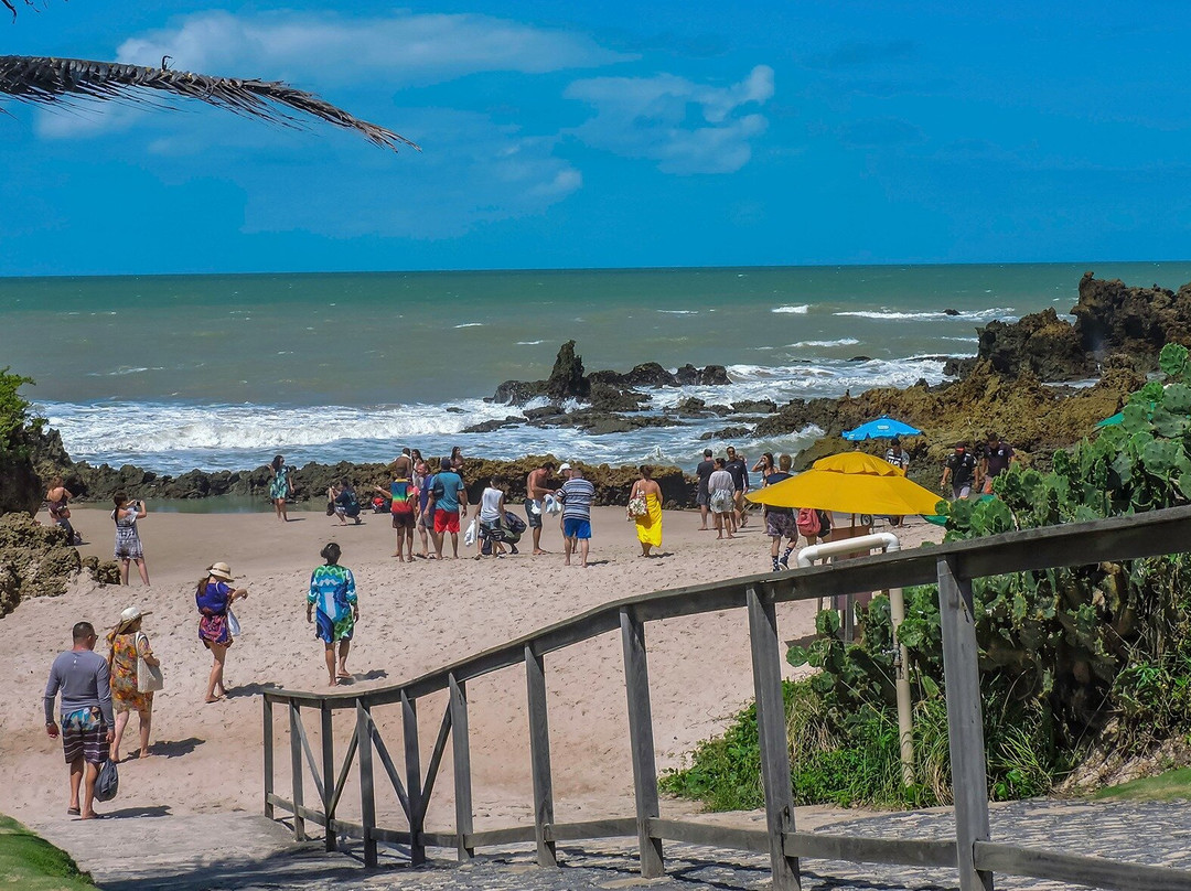 Gray Line Brazil-Joao Pessoa必去景点