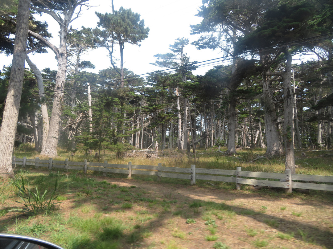 Crocker Grove-圆石滩必去景点