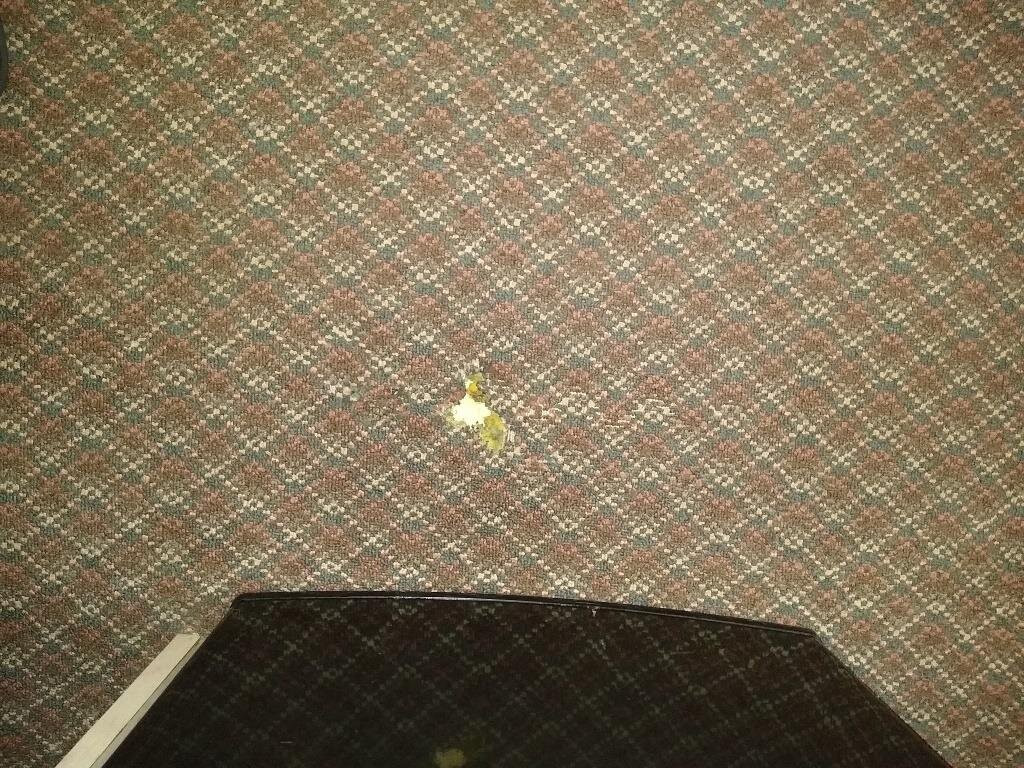 Lodge USA Motel主图