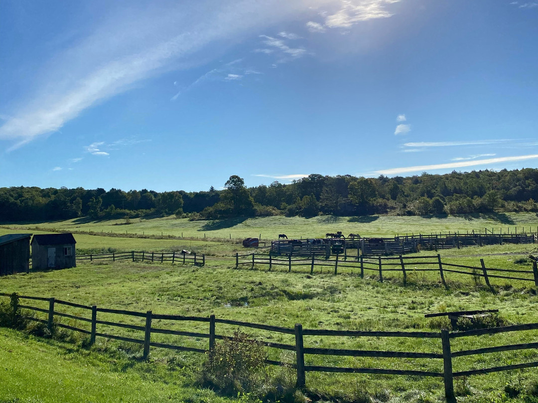 Winding Fences Farm景点图片