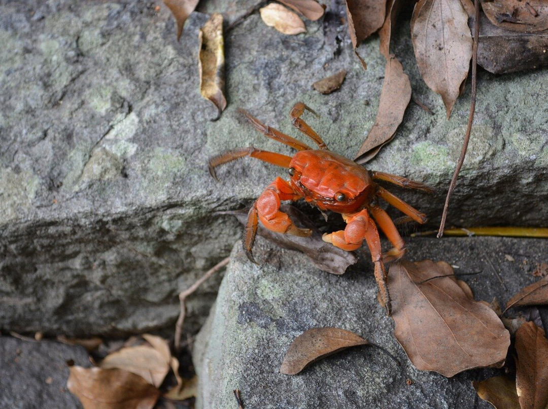 Shioya Oji Shrine-御坊市必去景点