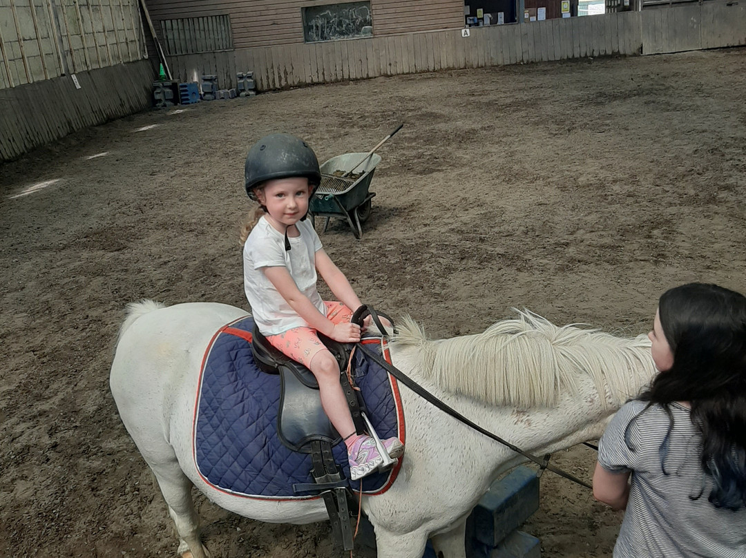 Tralee Equestrian Centre-特拉利必去景点