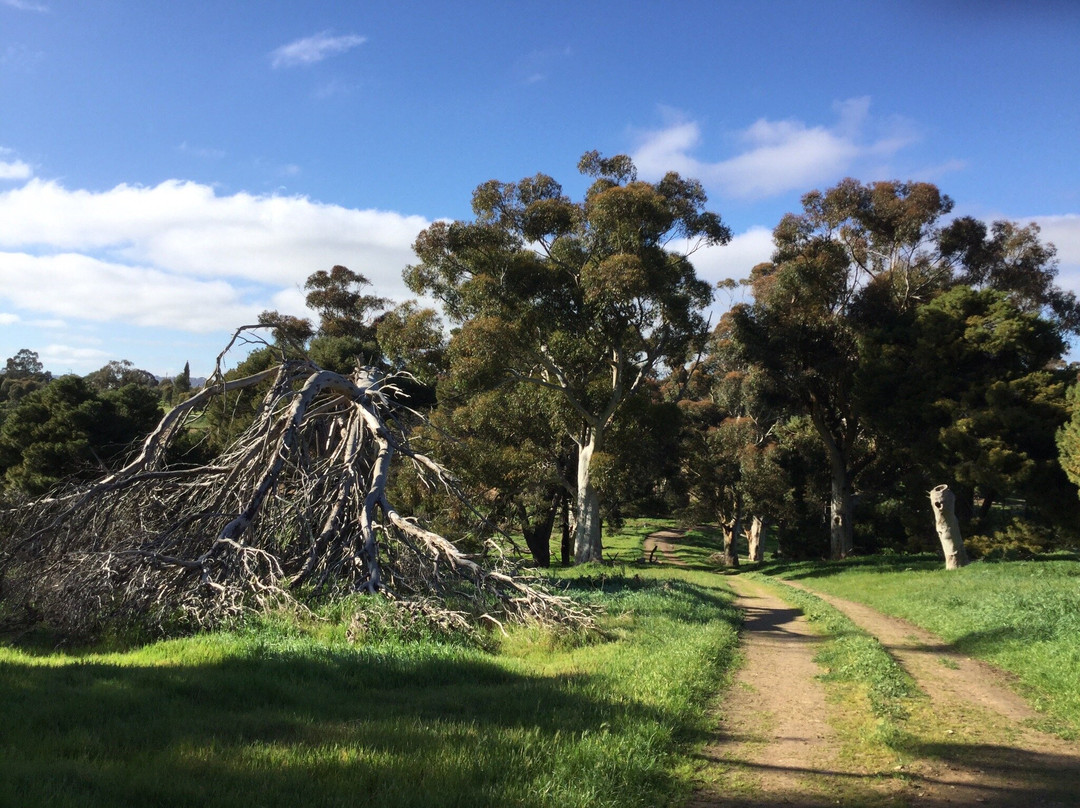 Glenthorne National Park景点图片