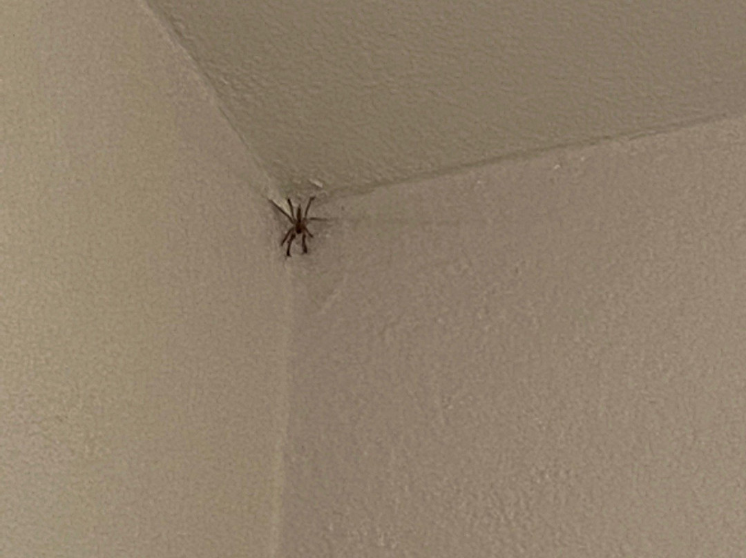 La Quinta Inn by Wyndham Oshkosh主图