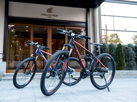 奈良登大路酒店主图