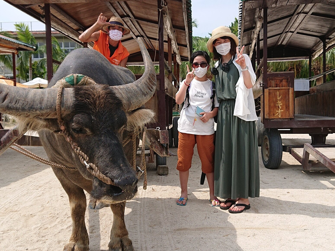 Taketomi Tourist Center景点图片