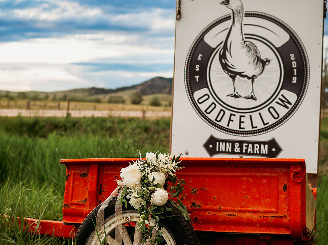 Oddfellow Inn and Farm主图