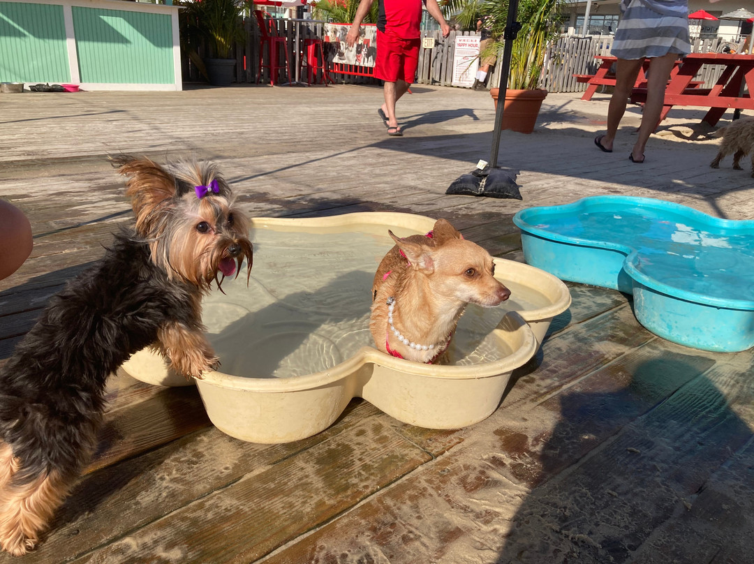 Wonder Bar-阿斯伯里帕克必去景点