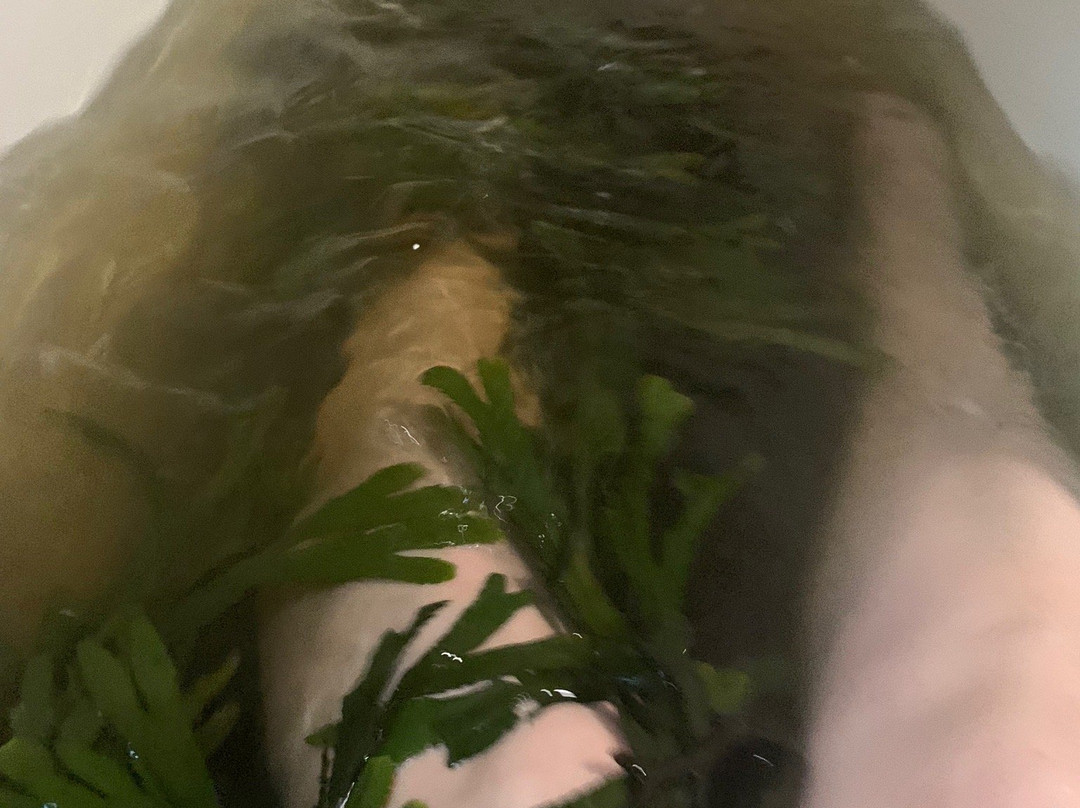Kilcullen's Seaweed Baths景点图片