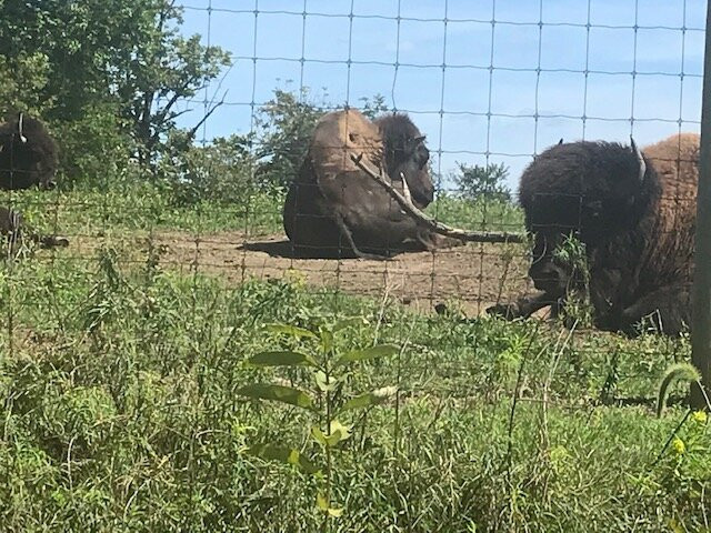 Trexler Nature Preserve-Schnecksville必去景点