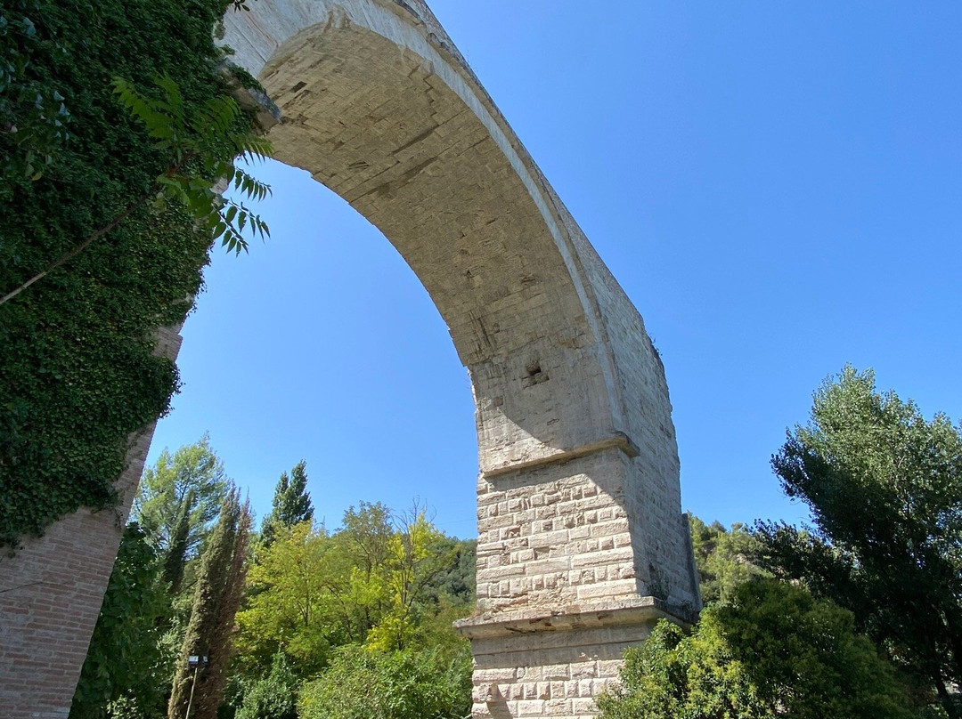 Ponte d'Augusto景点图片