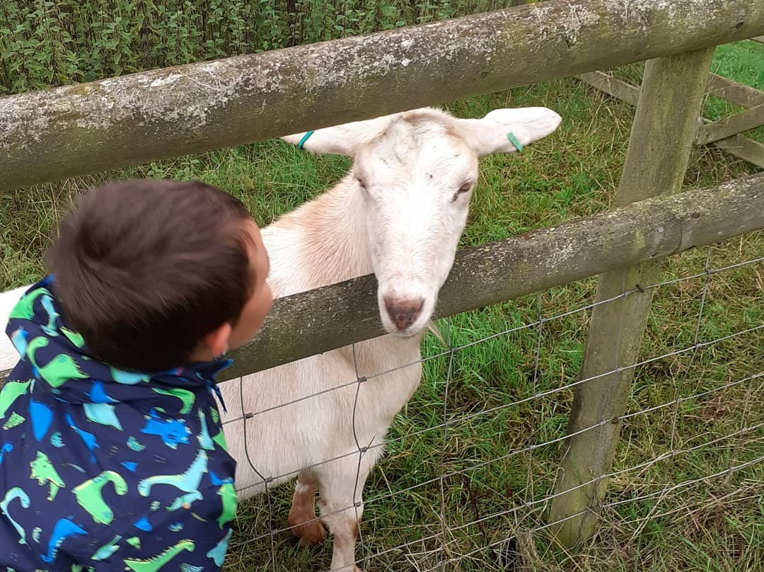 Huntstile Organic Farm主图