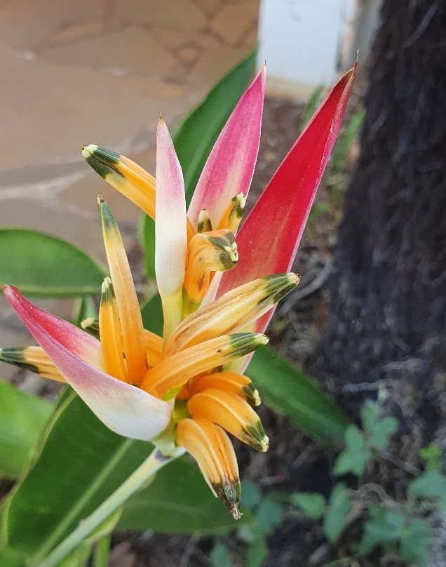 阿瑟顿假日公园主图