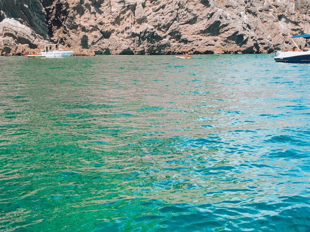 Ocean Experience Sesimbra-塞新布拉必去景点