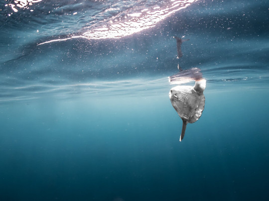 Simply Diving-马贝拉必去景点