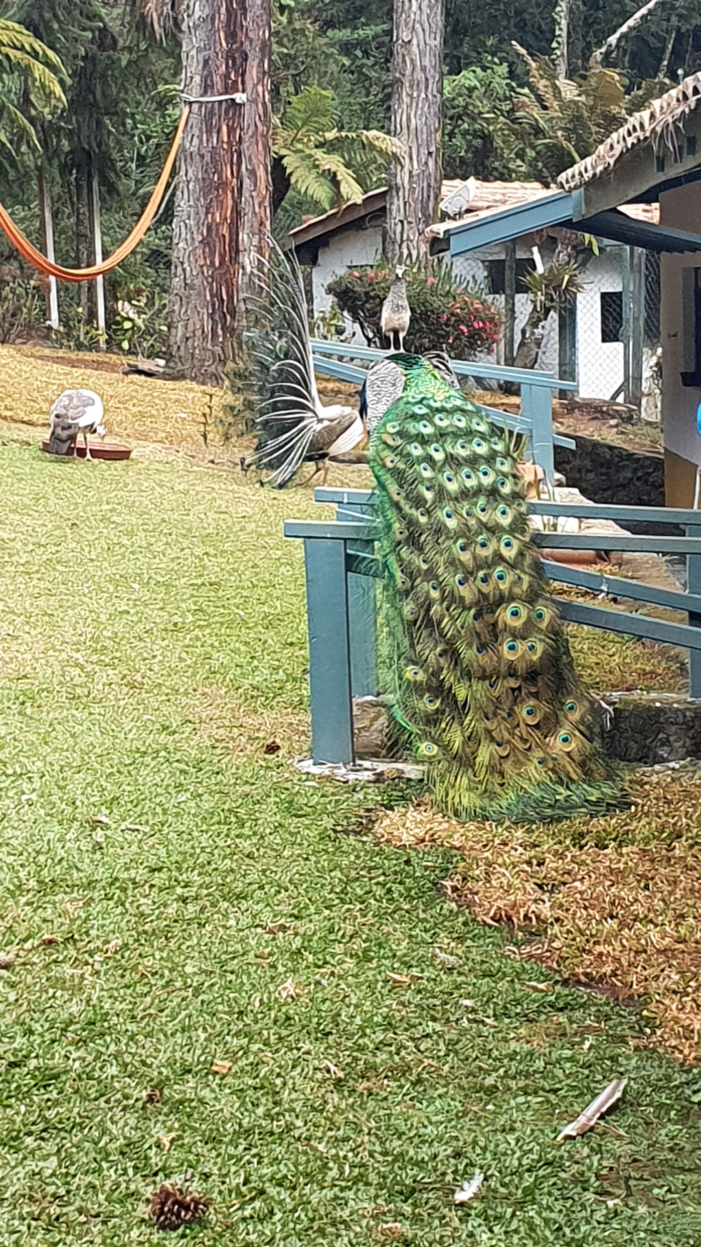 Pousada Villa D'Amore-浴室
