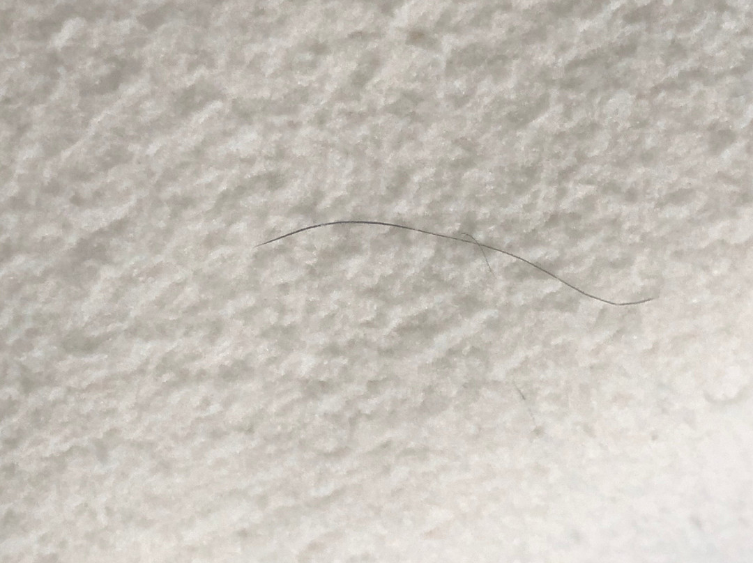 Super 8 by Wyndham Escanaba主图