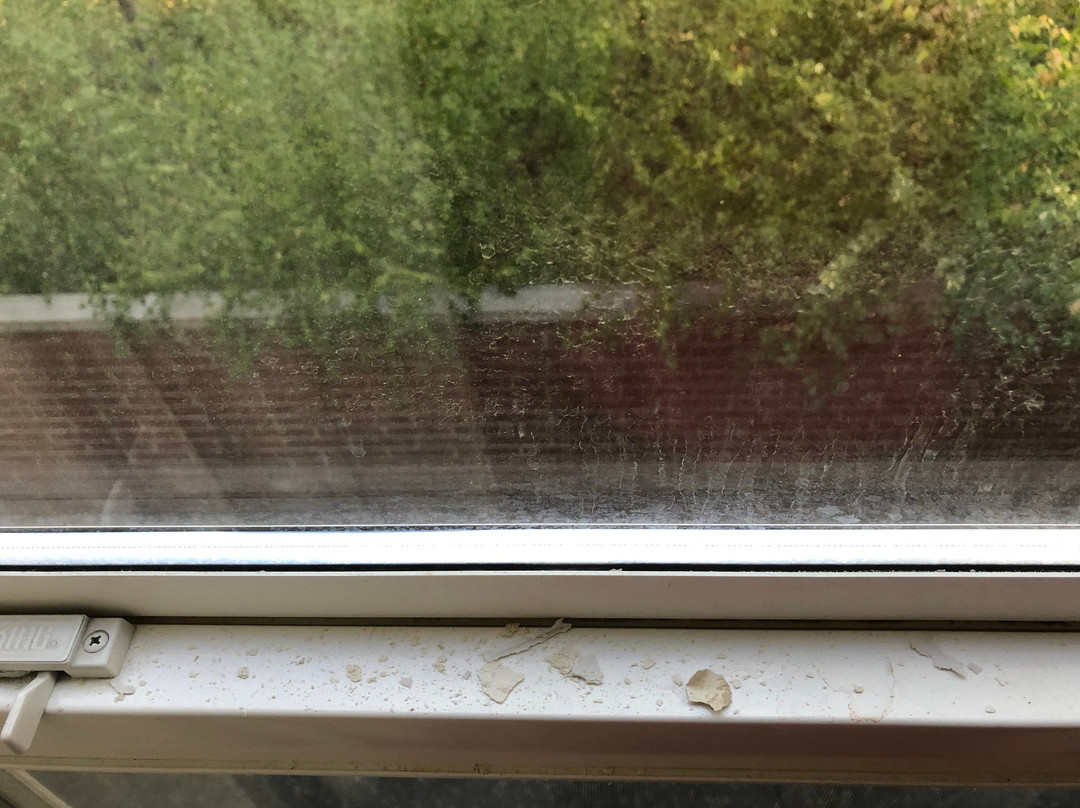 Residence Inn by Marriott Provo North主图